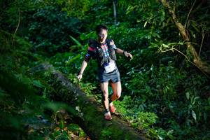 BIB: 
                            <button type="button" onclick="openModal(18921540)" class="btn btn-primary btn-sm float-right btn-popup" data-toggle="modal" data-target=".modal-high-quality">
                        <i class="fas fa-shopping-cart"></i> Add to Cart
                    </button>
                                            <button type="button" onclick="isThisMe(18921540, true)" class="btn btn-success btn-sm float-right btn-popup btn-isme hidden" data-toggle="tooltip" data-placement="bottom" title="นี่คือรูปของคุณใช่ไหม คลิกที่นี่เพื่อเอาเข้าอัลบั้ม">
                        <i class="fas fa-plus"></i> Add to album
                    </button>
                    <button type="button" onclick="isThisMe(18921540, false)" class="btn btn-warning btn-sm float-right btn-popup btn-isnotme hidden">
                        <i class="fas fa-ban"></i> Remove from album
                    </button>